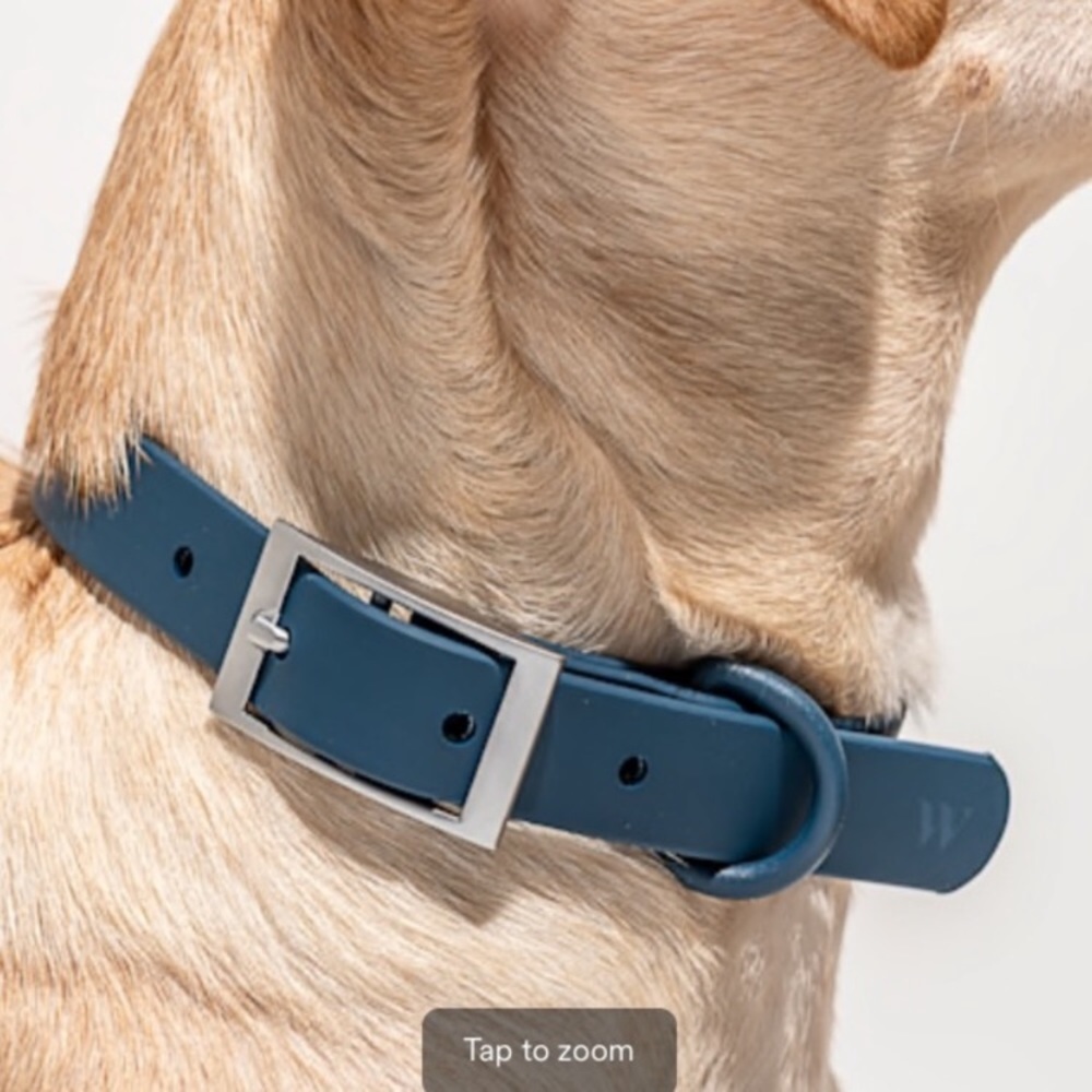 Wild One blue PVC durable dog collar